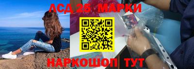 шишки Камышлов