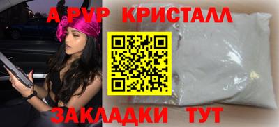шишки Камышлов
