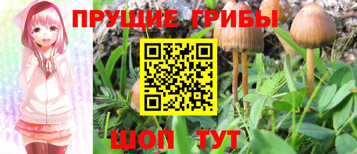 Галлюциногенные грибы прущие грибы Куйбышев
