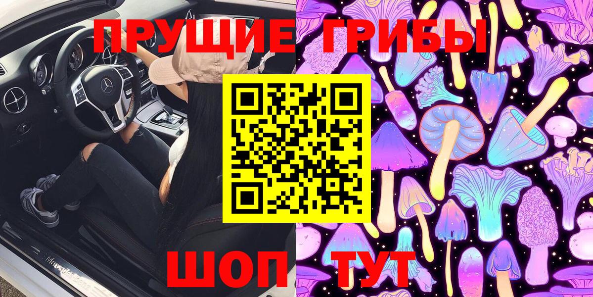 Куйбышев  Псилоцибиновые грибы Magic Shrooms  Вход с VPN  продажа наркотиков  Псилоцибиновые грибы MAGIC MUSHROOMS 